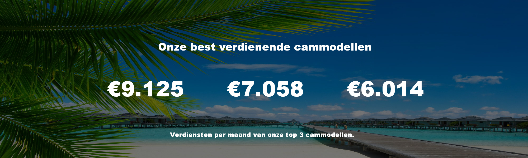 wat verdient een camgirl